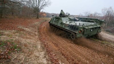 Panzer im Einsatz für seltene Urzeitkrebse