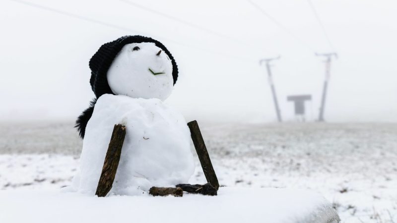 Auf dem Feldberg im Schwarzwald sind die ersten Schneeflocken gefallen.