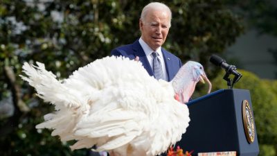 Biden begnadigt Truthähne „Liberty“ und „Bell“